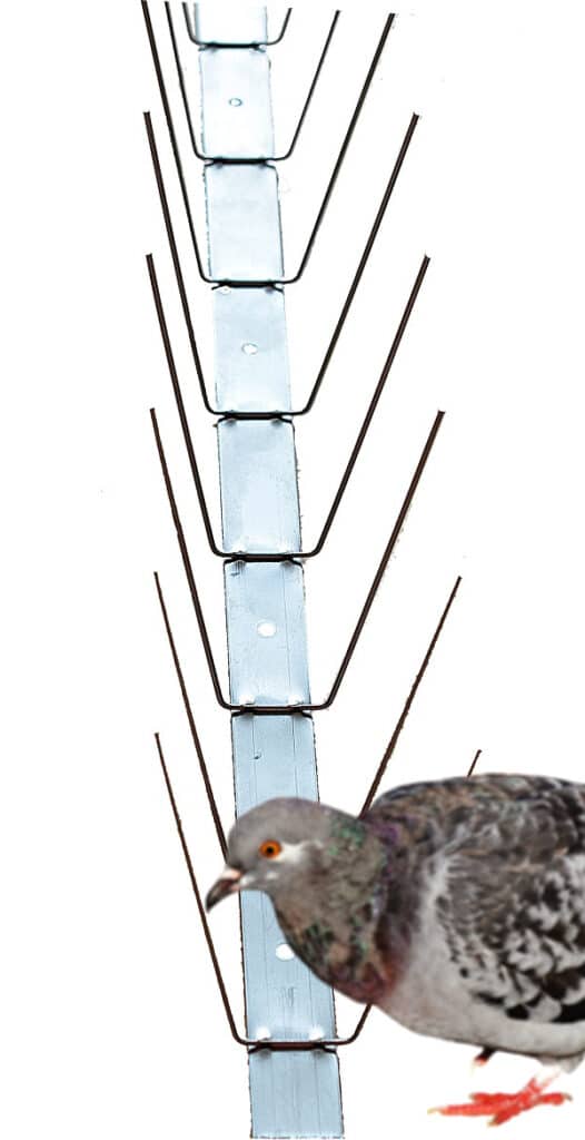 Fågelpiggar PS02, 10-pack